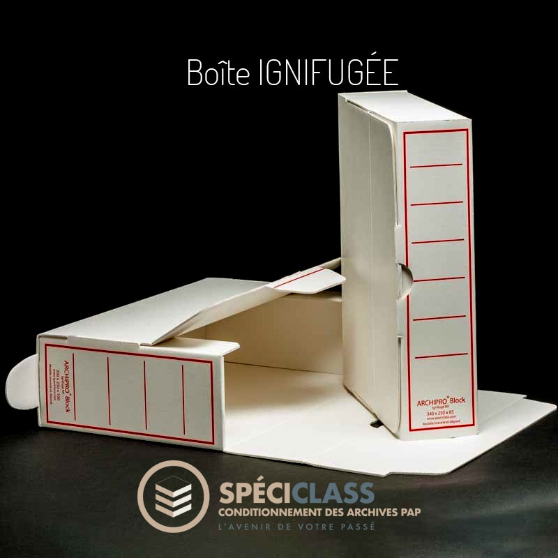 Boîte d'archivage ignifugée M1