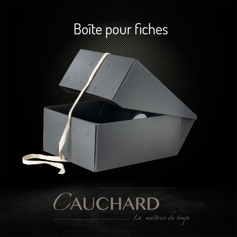 Boîte fiches archives